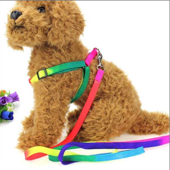 Dây dắt chó mèo đi dạo - Dây dắt kèm yếm ngực 7 sắc cầu vồng cho thú cưng