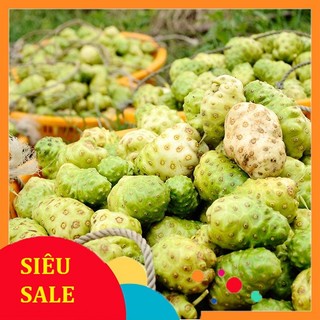 3kg Trái Nhàu tươi