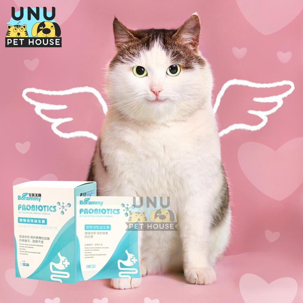 Men tiêu hóa cho chó mèo bổ sung lợi khuẩn, hỗ trợ tiêu hóa gói 5g - UNU Pet House