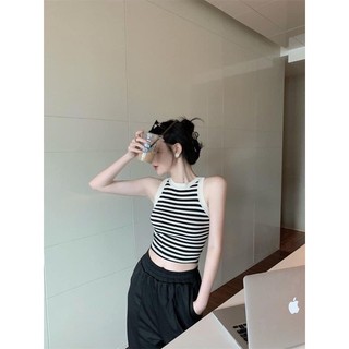 Áo ba lỗ MONGTOGHI 6 màu