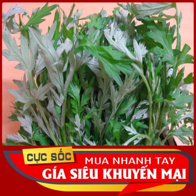 Cây Ngải Cứu tươi 1kg - lá ngải cứu tươi síp hoả tốc tại Sài Gòn 1h nhận hàng