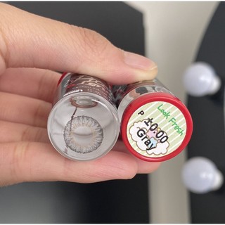 Lens Mắt Kính Áp Tròng Pitchy Lens Giãn Nhẹ Không Độ Tự Nhiên Trong Veo chính Hãng Thái Lan