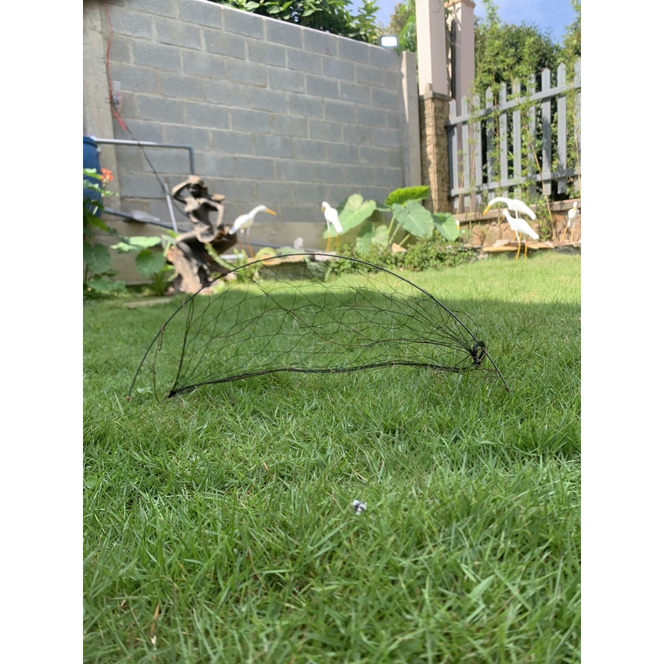 Cung bẫy chim cút