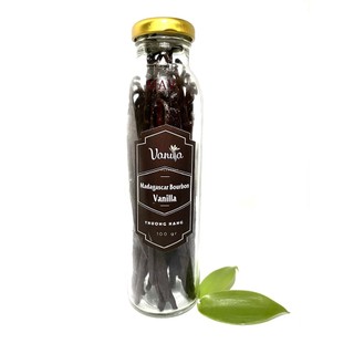 Quả Vanilla Madagascar Bourbon Thượng Hạng (SET 100 GRAMS)