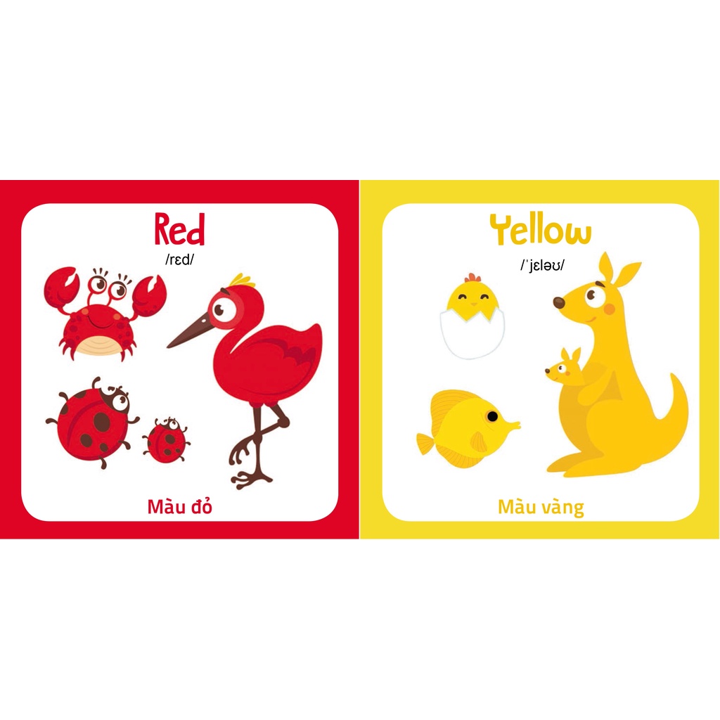 MY FIRST PICTURE BOOK - Bộ bìa cứng Thư viện hình ảnh đầu tiên cho bé, nhận biết Thế Giới xung quanh
