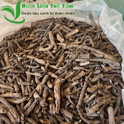 Sâm tiên mao - Sâm cau đen - Loại 1 khô cao cấp của Tuệ Tâm - Gói 100gr