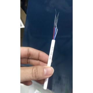 Ruột Mỏ hàn 907 60w......