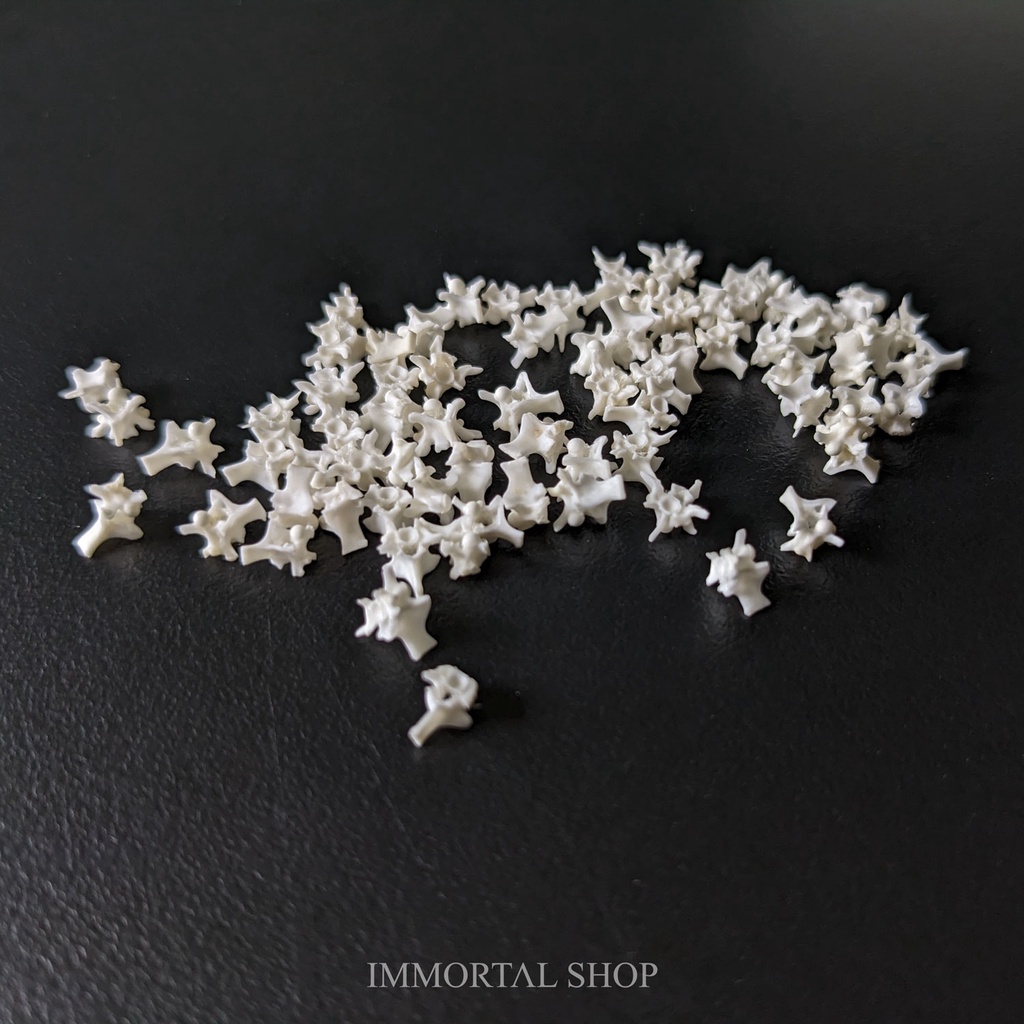 Lũ xương rắn mini Immortal Shop [Đọc kĩ mô tả]