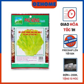 Hạt Giống xà lách vàng cao sản PN No2 - 10g CHẤT LƯỢNG CAO