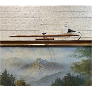 Đèn soi tranh bút, đèn rọi tranh, đèn chiếu tranh led 2 đầu siêu rẻ đẹp dài 60cm