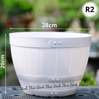 Chậu nhựa kiểu thùng rụ r2 - chậu nhựa thái bình
