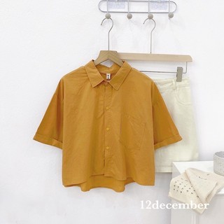 sơ mi croptop tay gập