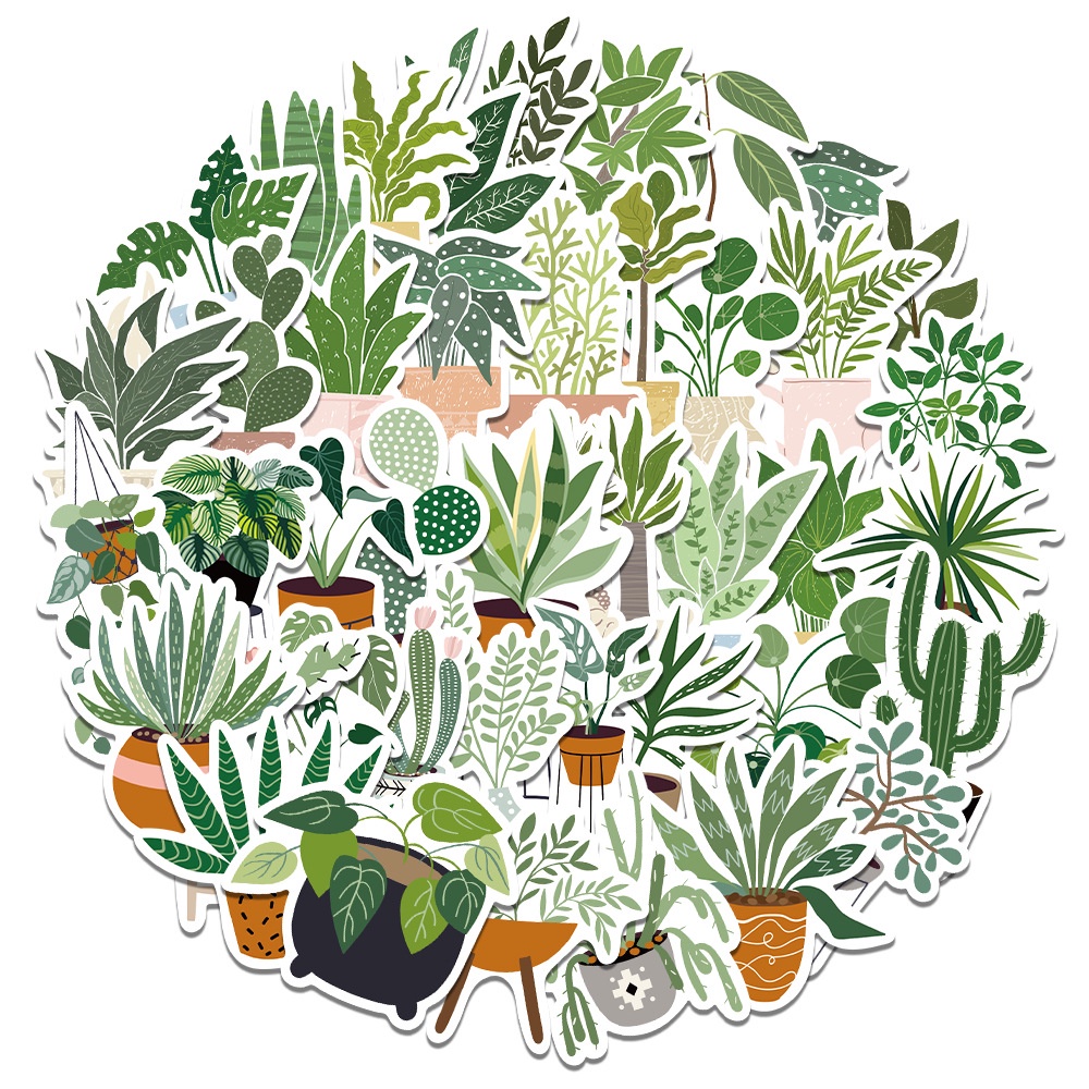 Sticker dán hình kiểng lá không thấm nước, sticker dán điện thoại hình kiểng lá monstera, philodendron, anthurium