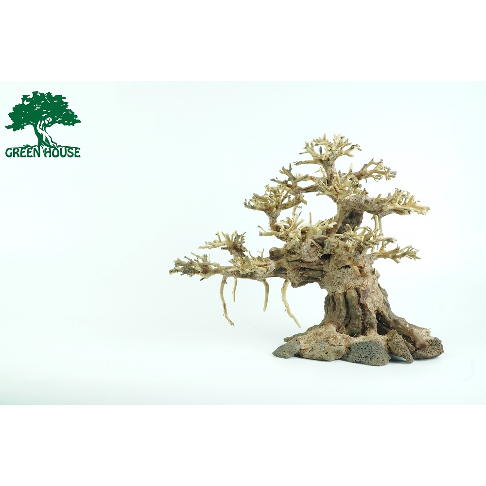 Lũa bonsai bám đá, lũa thủy sinh trang trí hồ cá, hồ thủy sinh (BSR/38)
