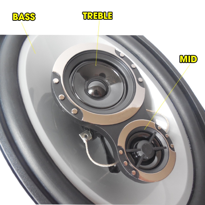 Cặp Loa Cánh Cửa Ô Tô 1000W Hình Oval 6x9 inch  - Loa Đồng Trục 3 Đường Tiếng - Pincer 6941