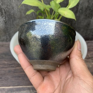 CHÉN CHỦ DU TRÍCH, KIẾN TRẢN 100ML