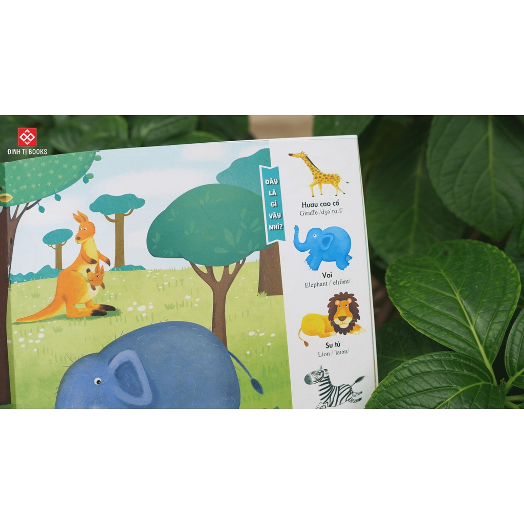 Sách - Những kiến thức đầu đời cho bé - Đinh Tị Books