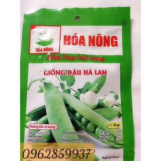 20 gram hạt giống đậu hà lan