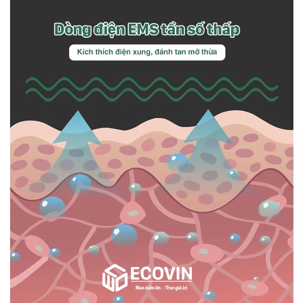 Đai Massage Giảm Mỡ Bụng Đứng, Máy Tập Cơ Bụng Đánh Tan Mỡ Fitness 1102