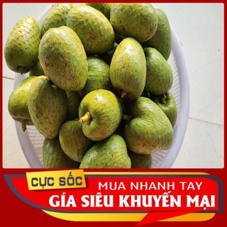 Trái Bình Bát tươi 1kg [Thảo Dược Ngọc Ánh]