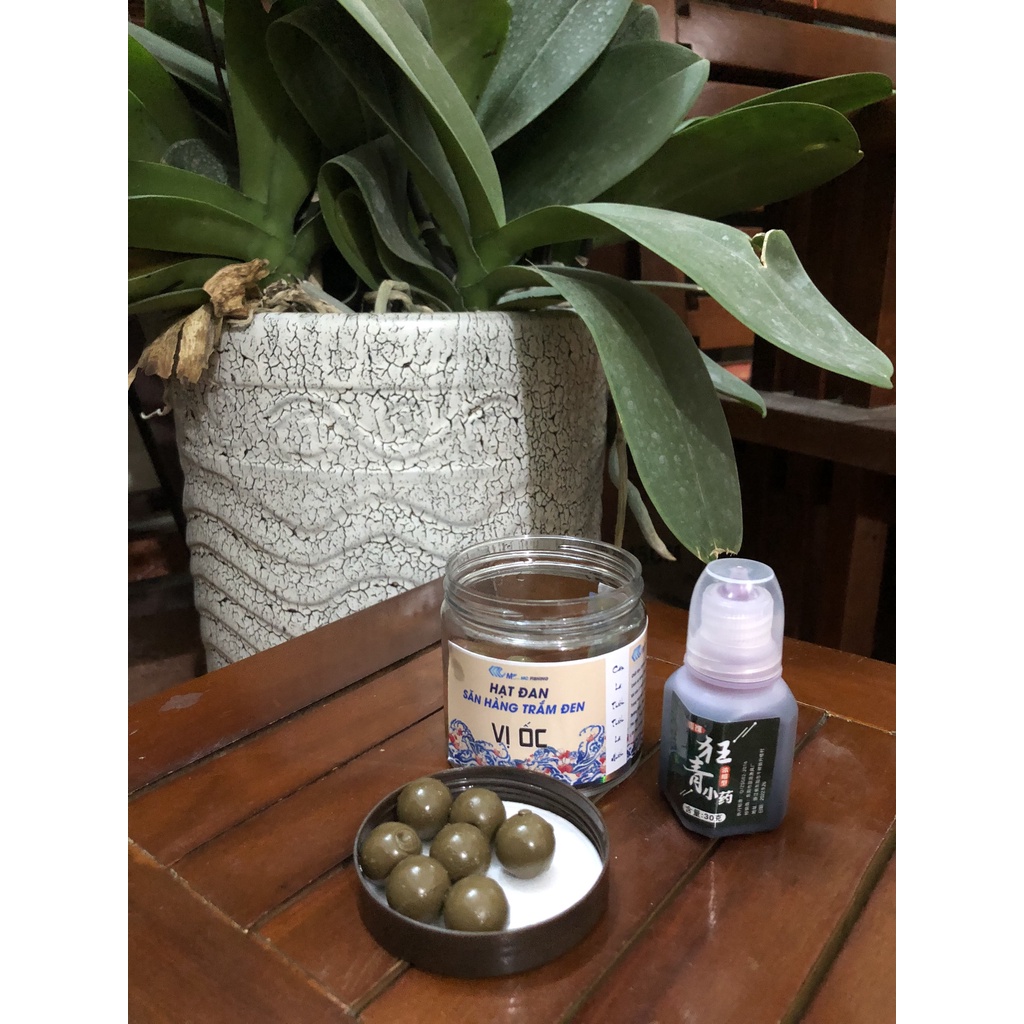 Hạt đan Săn Hàng Trắm Đen tặng kèm hương liệu 2023!