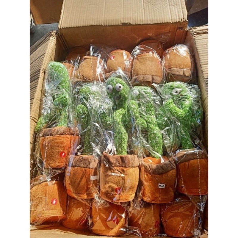 Cây sương rồng nhảy múa phát ra âm thanh vui nhộn cho bé