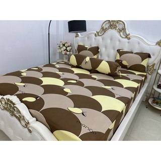 Bộ Drap gối  Thun  Hàn Quốc Mát Lạnh {4  MÓN} ib chọn màu