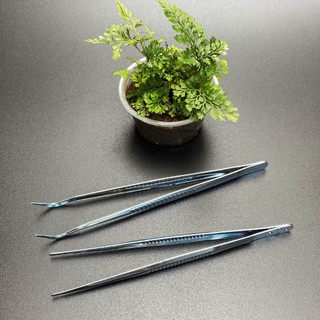 Nhíp thủy sinh nhíp kẹp chuyên dụng phụ kiện Terrarium Nhíp gắp rêu setup tiểu cảnh