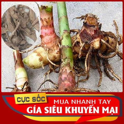 síp toàn quốc