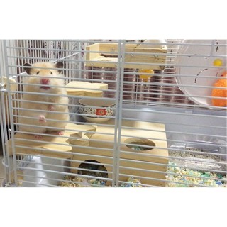 Bậc thang gỗ gắn lồng cho Hamster , Sóc , Chim