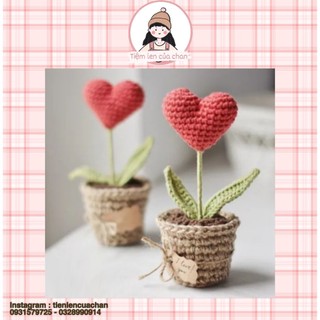 Len chậu hình trái tim nhiều màu.