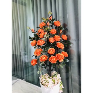 CÂY HỒNG PHÁP ( CÓ SỈ ) HOA GIẢ , HOA LỤA