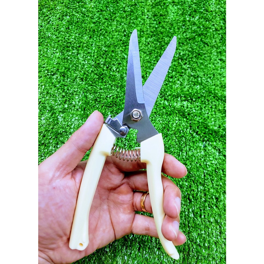 Kéo Tỉa Cây Cảnh Mũi Nhọn AOHO Cán Trắng Thép SK5 Không Rỉ Sắc Bén