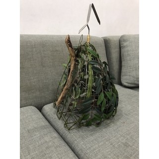 lồng bẫy chim cu gáy