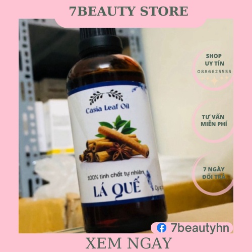 Tinh dầu xông phòng khử mùi Lá quế  100ml - Thiết Bị Spa thẩm mỹ