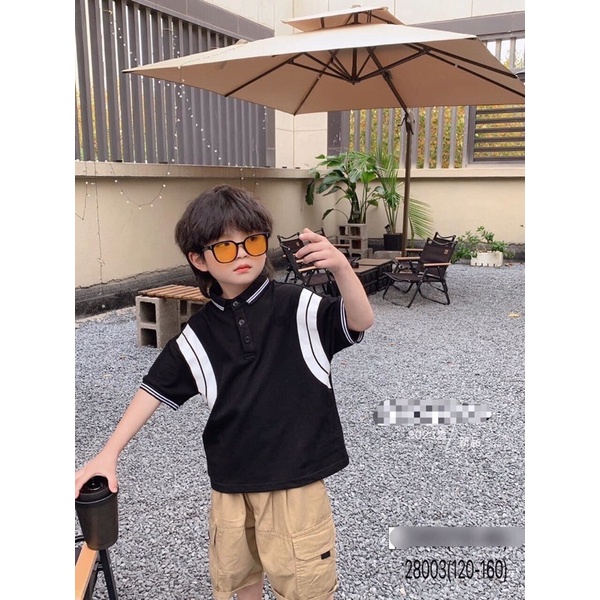 Áo phông Pollo bé trai chât đẹp