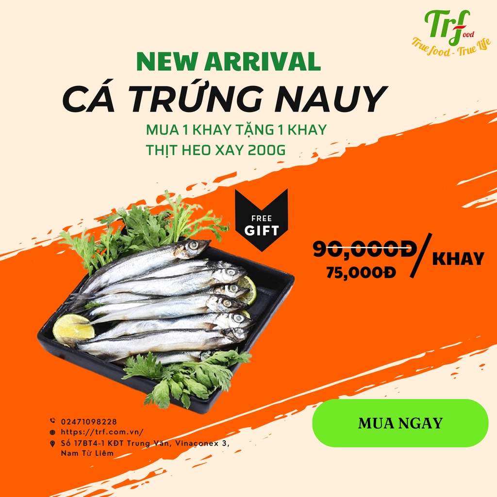 Cá trứng Nauy khay 500g mua 1 tặng 1 khay thịt heo xay [Chỉ giao hỏa tốc HN]