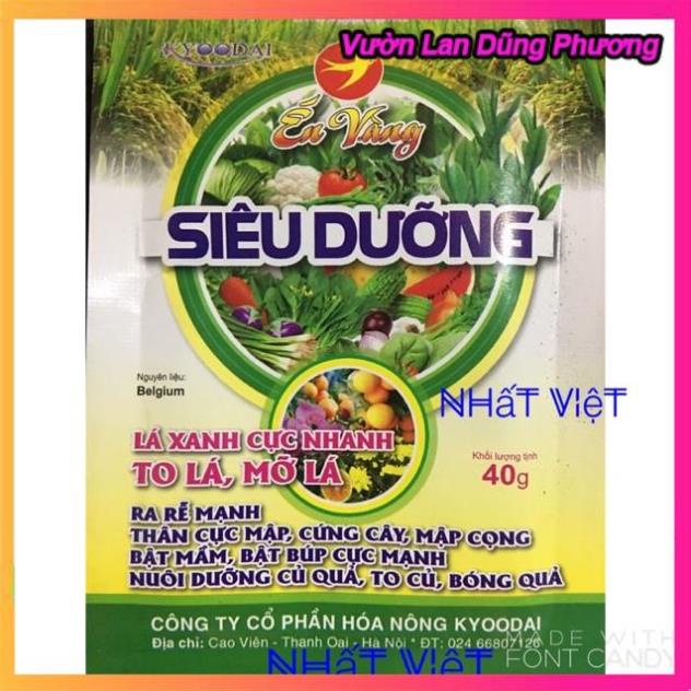 Lá xanh - To lá - Ra rễ - Cứng cây - Nở Búp - Bóng quả - Bật mầm VLDP.lol