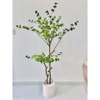 Cây giả , cây thạch nam 1,6m