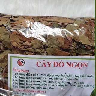Cây lá thành ngạnh(cây đỏ ngọn) loại 1(mới, sạch, nhiều lá)[1KG]