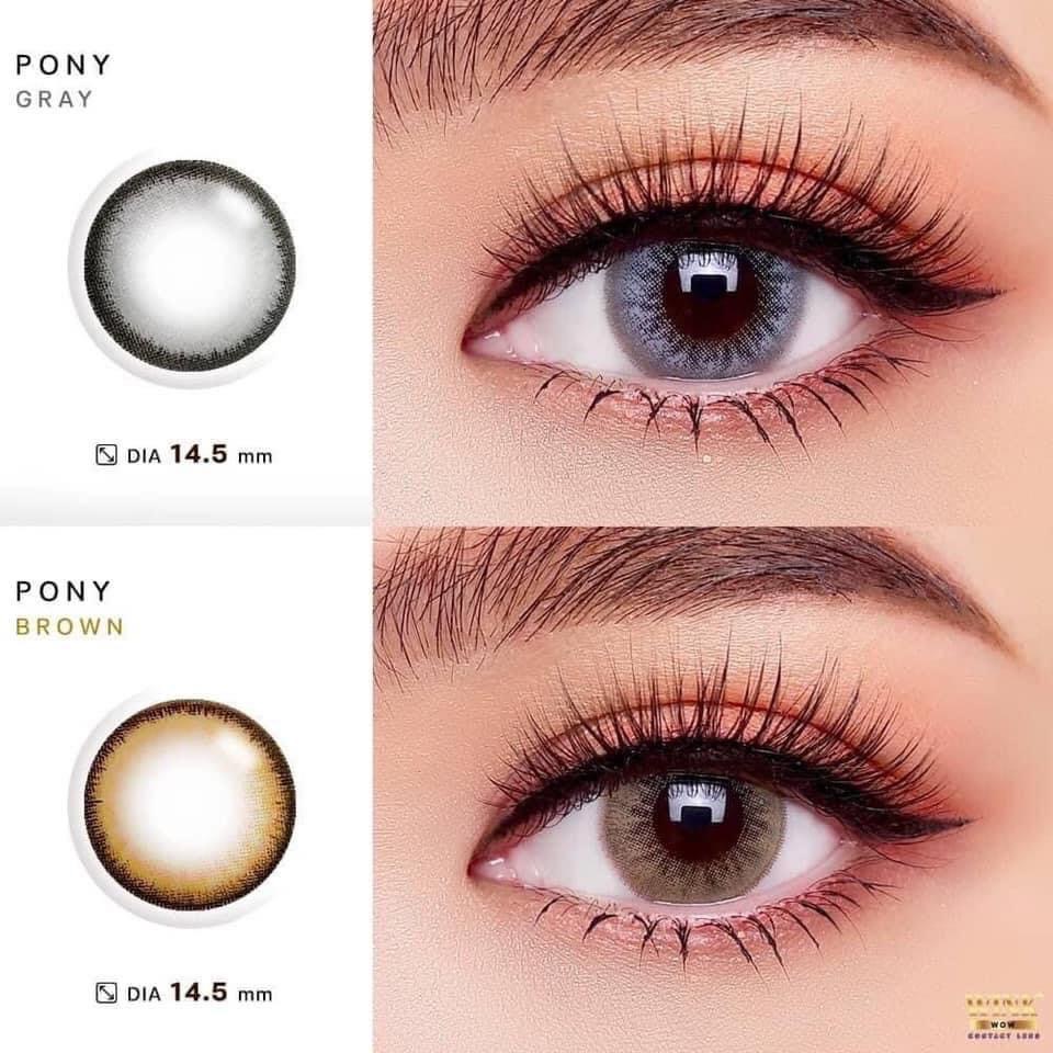 Lens Mắt Kính Áp Tròng WINK Giãn Nhẹ Không Độ Tự Nhiên Trong Veo chính Hãng Thái Lan