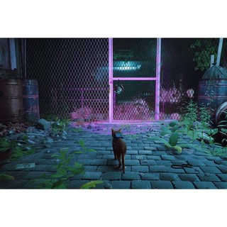 Đĩa Game PS5 Stray