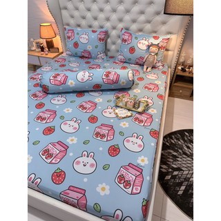 BỘ DRAP THUN SIÊU LẠNH LỤA LATICO THÁI LAN CAO CẤP MỚI (ÔM KHOÁ KÉO)
