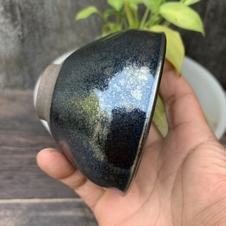CHÉN CHỦ DU TRÍCH, KIẾN TRẢN 100ML