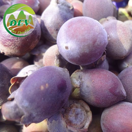 Quả sim khô; Quả sin rừng; Sim rừng chín; Quả sim rừng chín