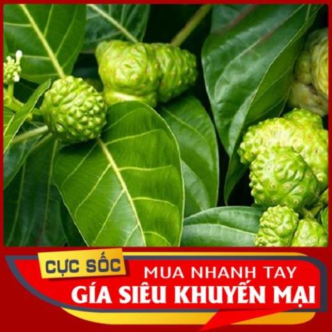 Lá Nhàu Tươi 1kg