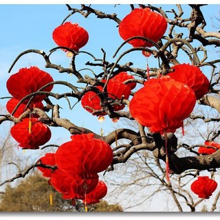 Đèn lồng đỏ trang trí - Quả cầu đỏ trang trí