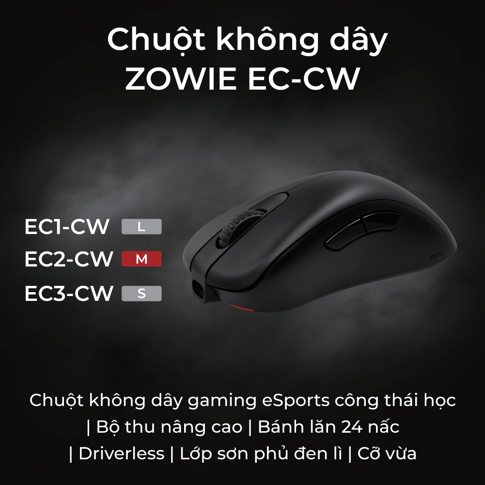 Chuột gaming không dây Esports BenQ ZOWIE EC2-CW công thái học, bánh lăn 24 nấc