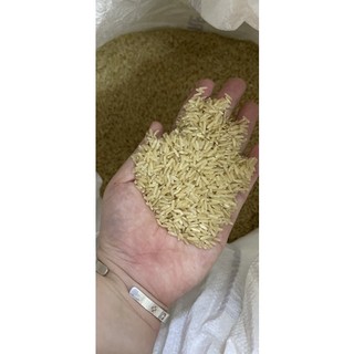 GẠO LỨT NÀNG THƠM ( 1KG)