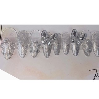 Nailbox nhũ mắt mèo charm bứm